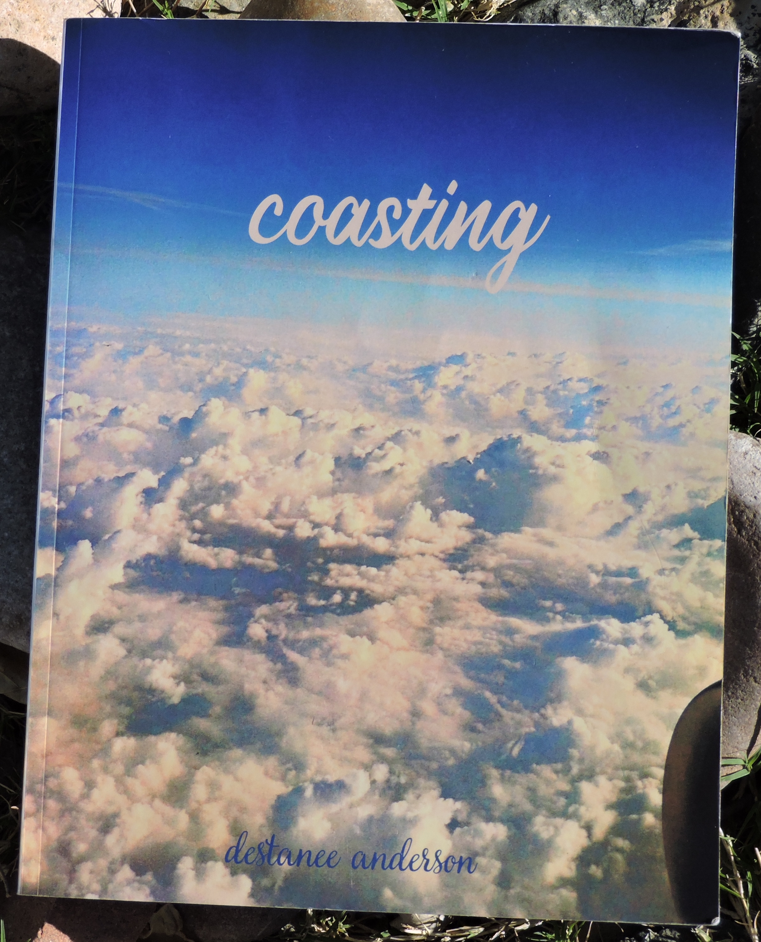 Coasting by Destanee Anderson book cover